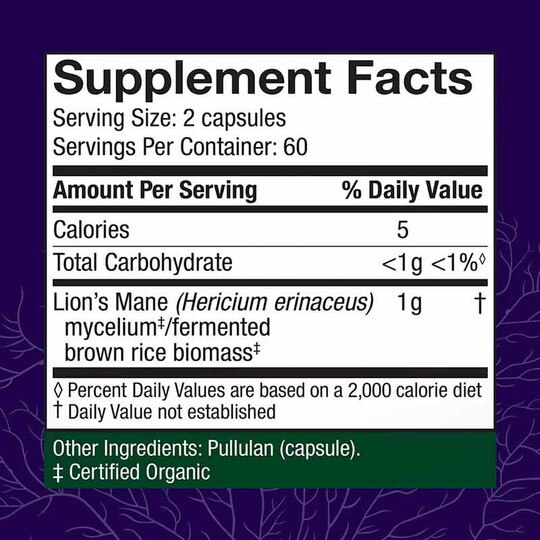 Lion's Mane Memory & Nerve Support, HDF